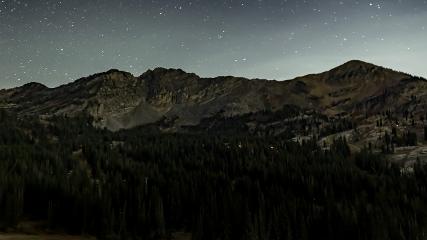 Alta: Alta (alta.com)