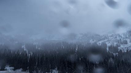 Alta: Alta (alta.com)