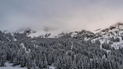 Alta: Alta (alta.com)