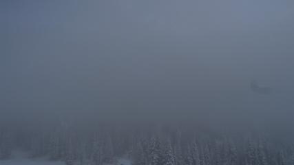 Alta: Alta (alta.com)
