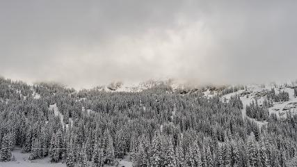 Alta: Alta (alta.com)