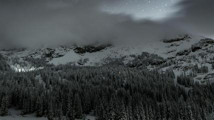 Alta: Alta (alta.com)