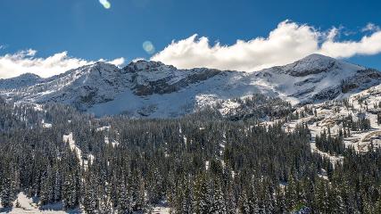 Alta: Alta (alta.com)