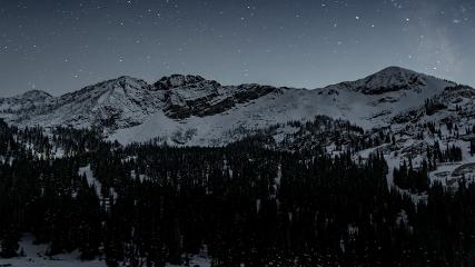 Alta: Alta (alta.com)