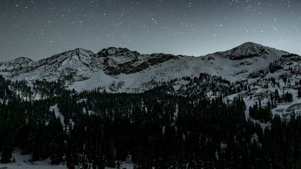 Alta: Alta (alta.com)