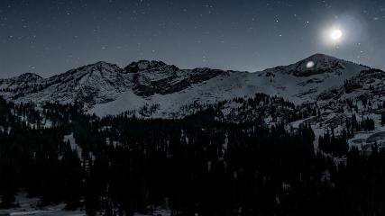 Alta: Alta (alta.com)