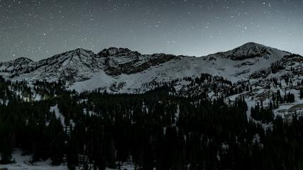 Alta: Alta (alta.com)