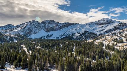 Alta webcam