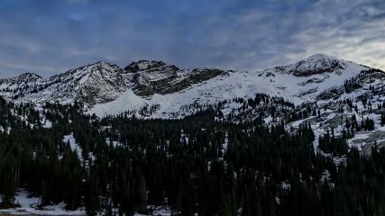 Alta: Alta (alta.com)