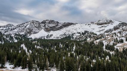 Alta webcam