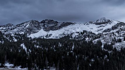 Alta: Alta (alta.com)