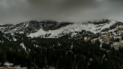 Alta: Alta (alta.com)