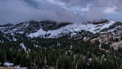 Alta: Alta (alta.com)