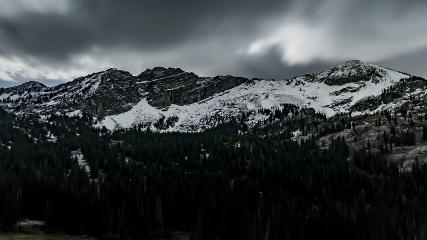 Alta: Alta (alta.com)