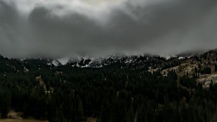Alta: Alta (alta.com)