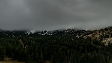 Alta: Alta (alta.com)