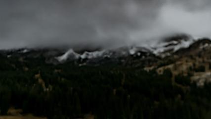 Alta: Alta (alta.com)