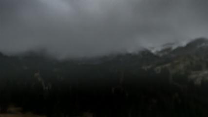 Alta: Alta (alta.com)