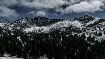 Alta: Alta (alta.com)
