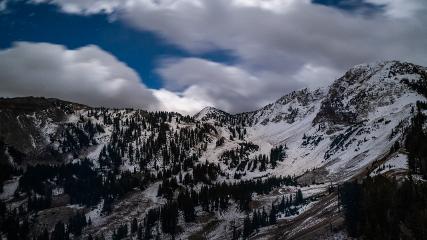 Alta: Alta (alta.com)