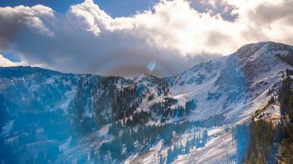 Alta: Alta (alta.com)
