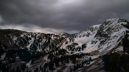 Alta: Alta (alta.com)