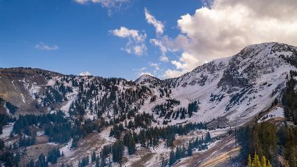 Alta: Alta (alta.com)