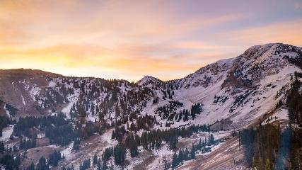 Alta: Alta (alta.com)