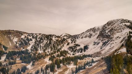 Alta: Alta (alta.com)