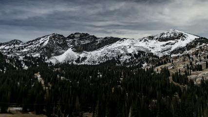 Alta: Alta (alta.com)
