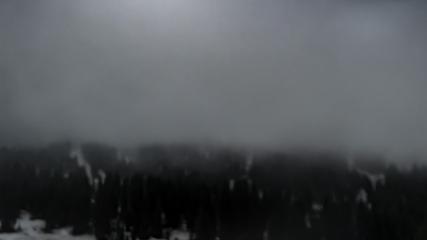Alta: Alta (alta.com)