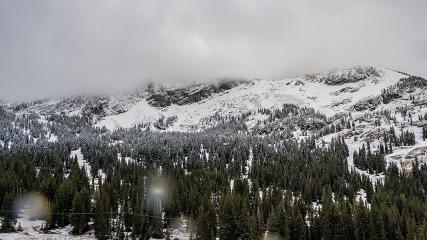 Alta: Alta (alta.com)