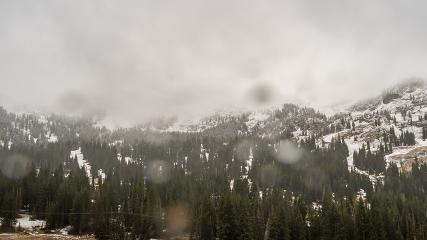 Alta: Alta (alta.com)