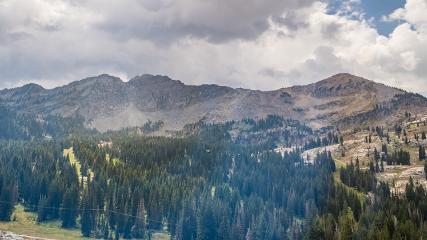 Alta: Alta (alta.com)