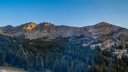 Alta: Alta (alta.com)