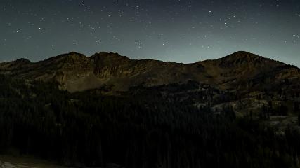 Alta: Alta (alta.com)