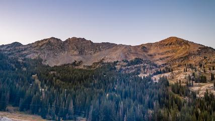 Alta: Alta (alta.com)