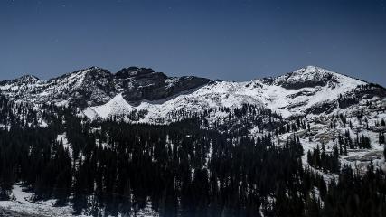 Alta: Alta (alta.com)