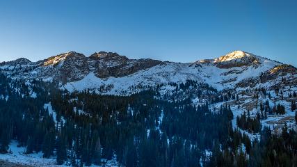 Alta webcam