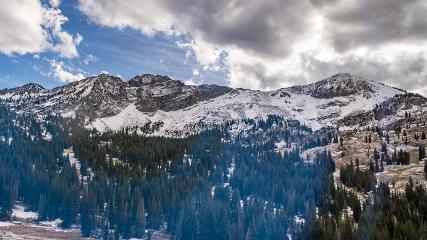 Alta webcam