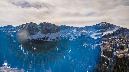Alta: Alta (alta.com)