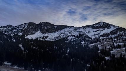 Alta: Alta (alta.com)