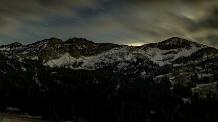 Alta: Alta (alta.com)