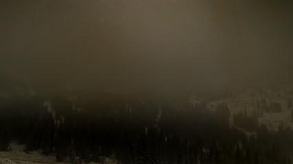 Alta: Alta (alta.com)