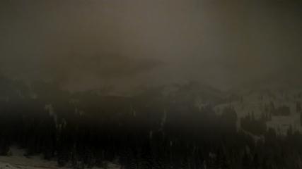 Alta: Alta (alta.com)