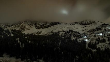 Alta: Alta (alta.com)