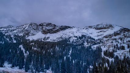 Alta: Alta (alta.com)