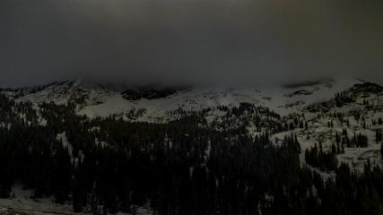 Alta: Alta (alta.com)