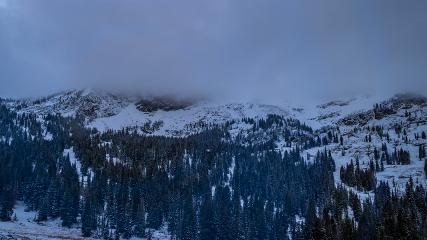 Alta: Alta (alta.com)