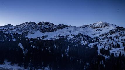 Alta: Alta (alta.com)